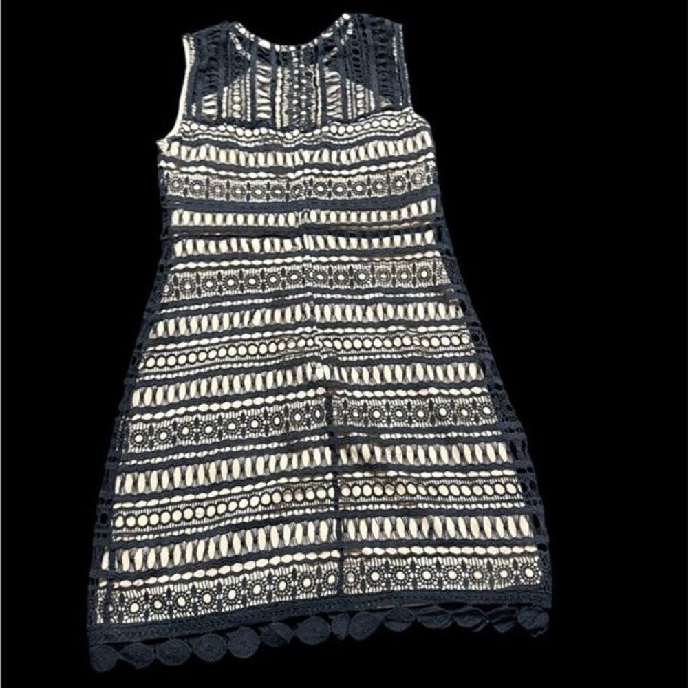 Francesca's Collections Black and Cream Lace Midi Dress